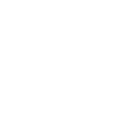SYSTEM